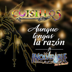 Cover of Aunque Tengas la Razón