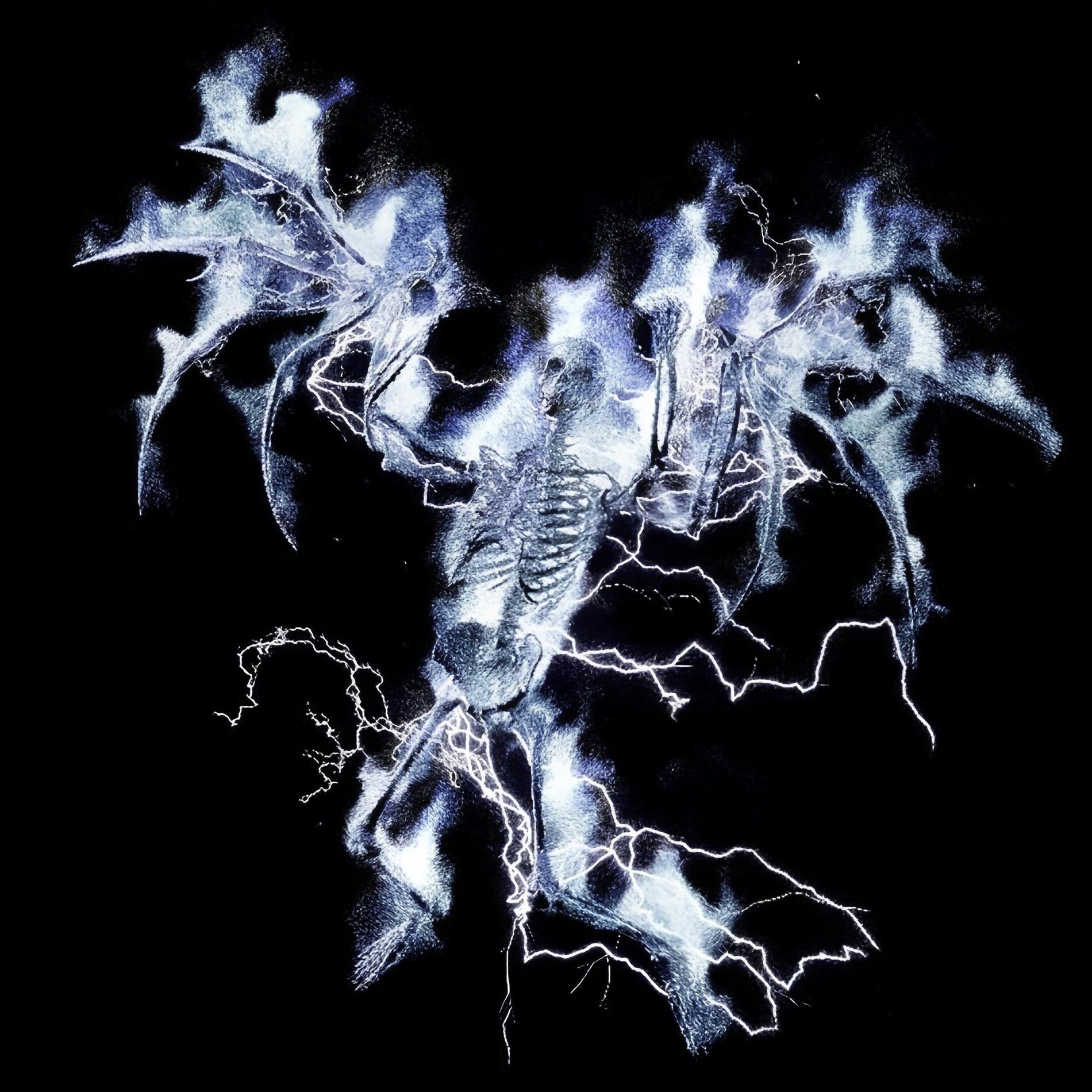 Album cover of Bravo