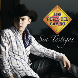 Cover of Sin Testigos