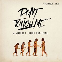 Cover of Don't Follow Me