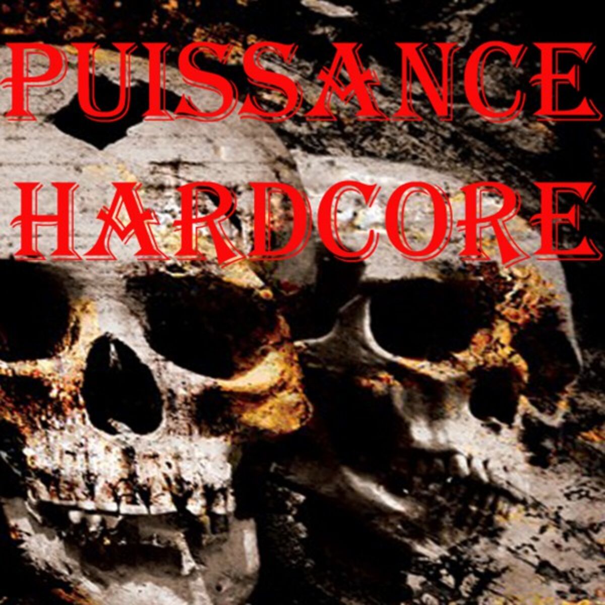 Album cover of Puissance Hardcore