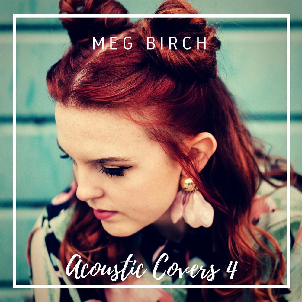 Picture of Acoustic Covers 4