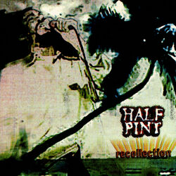 Cover of Recollection