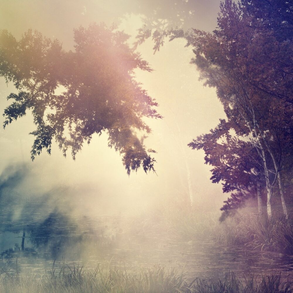 Picture of Violante (Lost in a Dream)