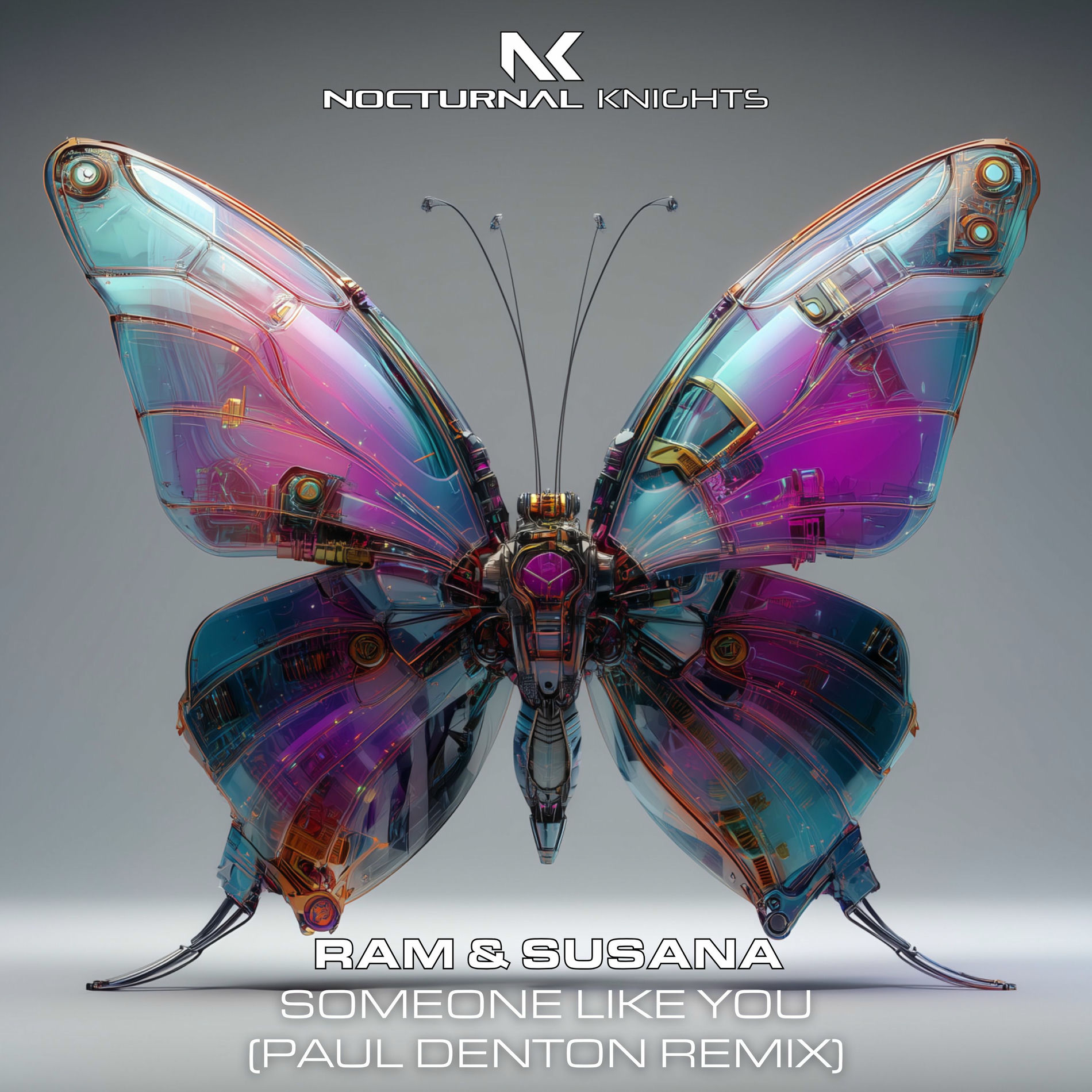 Album cover of Someone Like You (Paul Denton Remix)