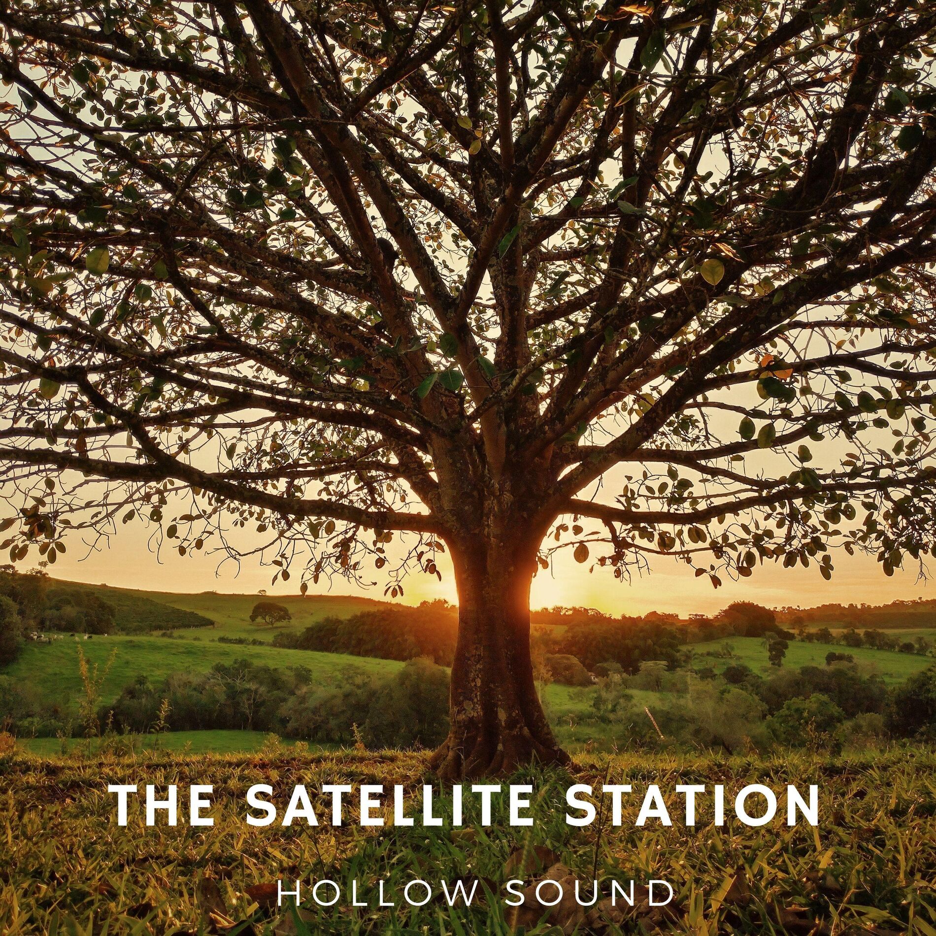 Album cover of Hollow Sound