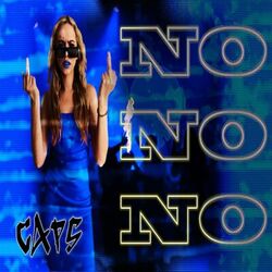 Cover of NO NO NO