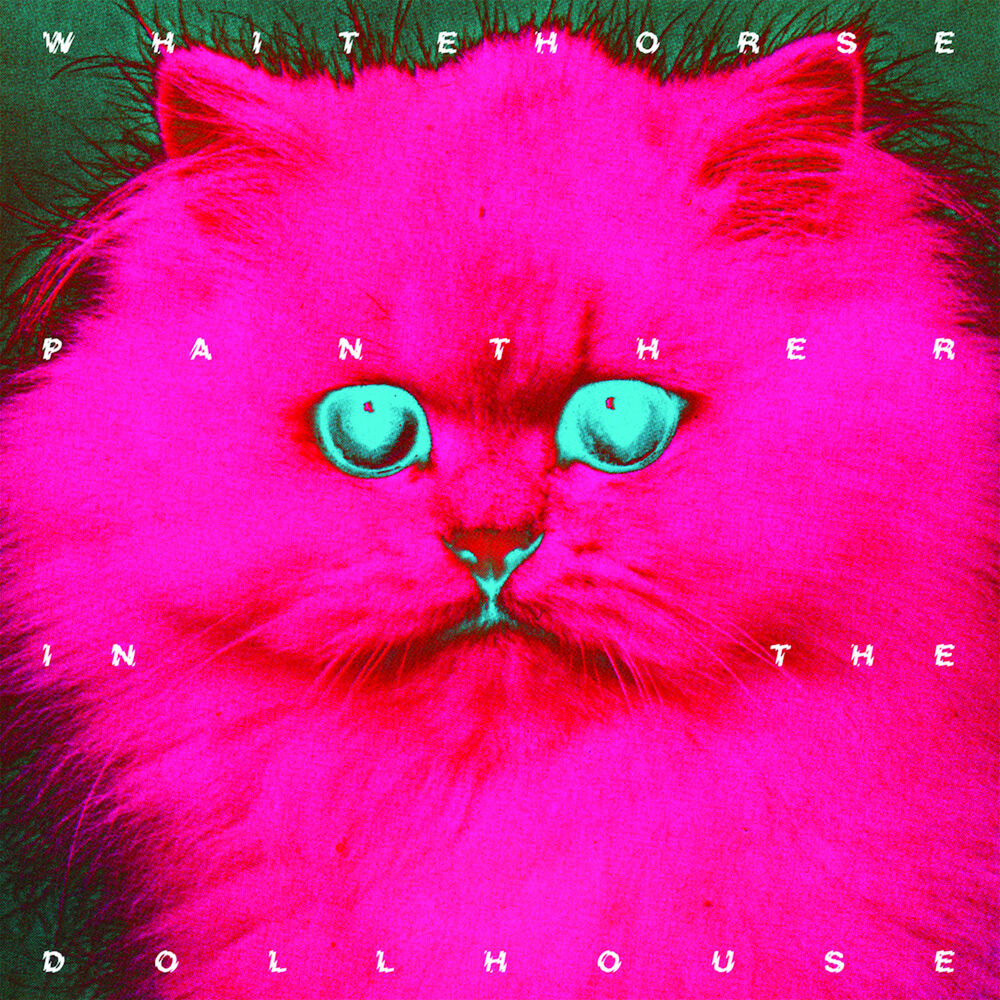 Picture of Panther in the Dollhouse