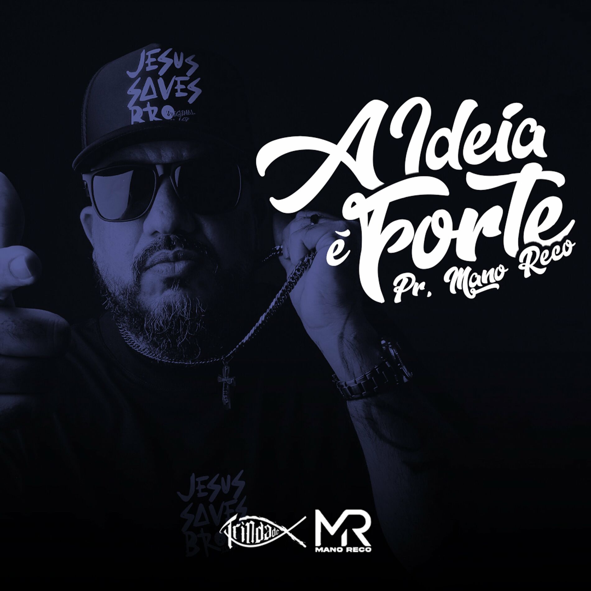 Album cover of A Ideia É Forte 161/365