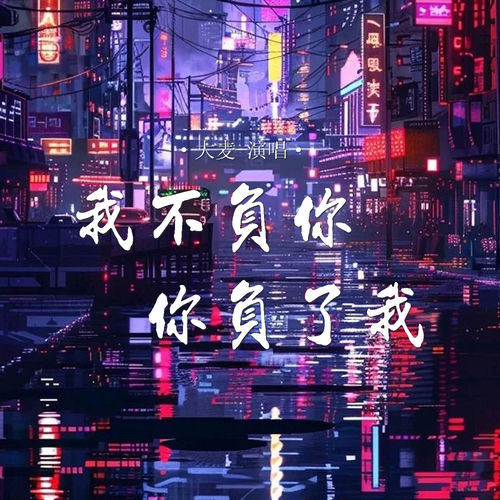 我不负你你负了我