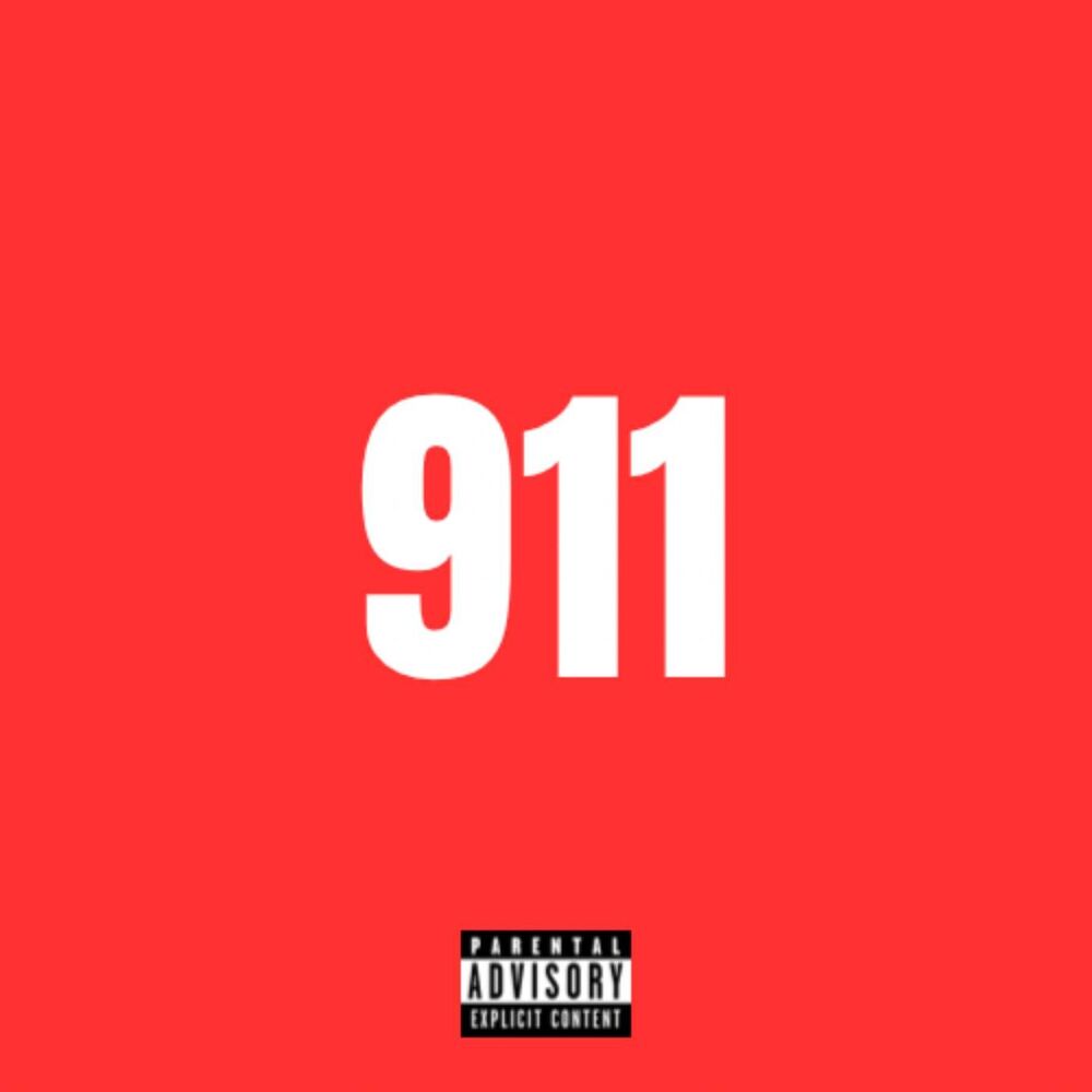Picture of 911