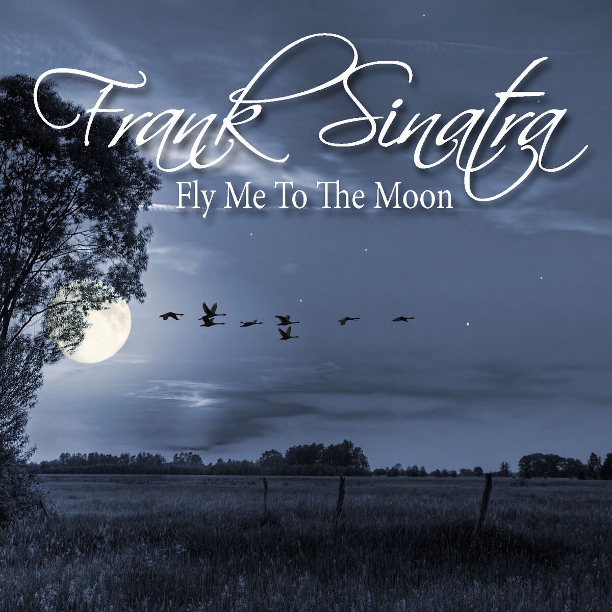 Album cover of Fly Me To The Moon