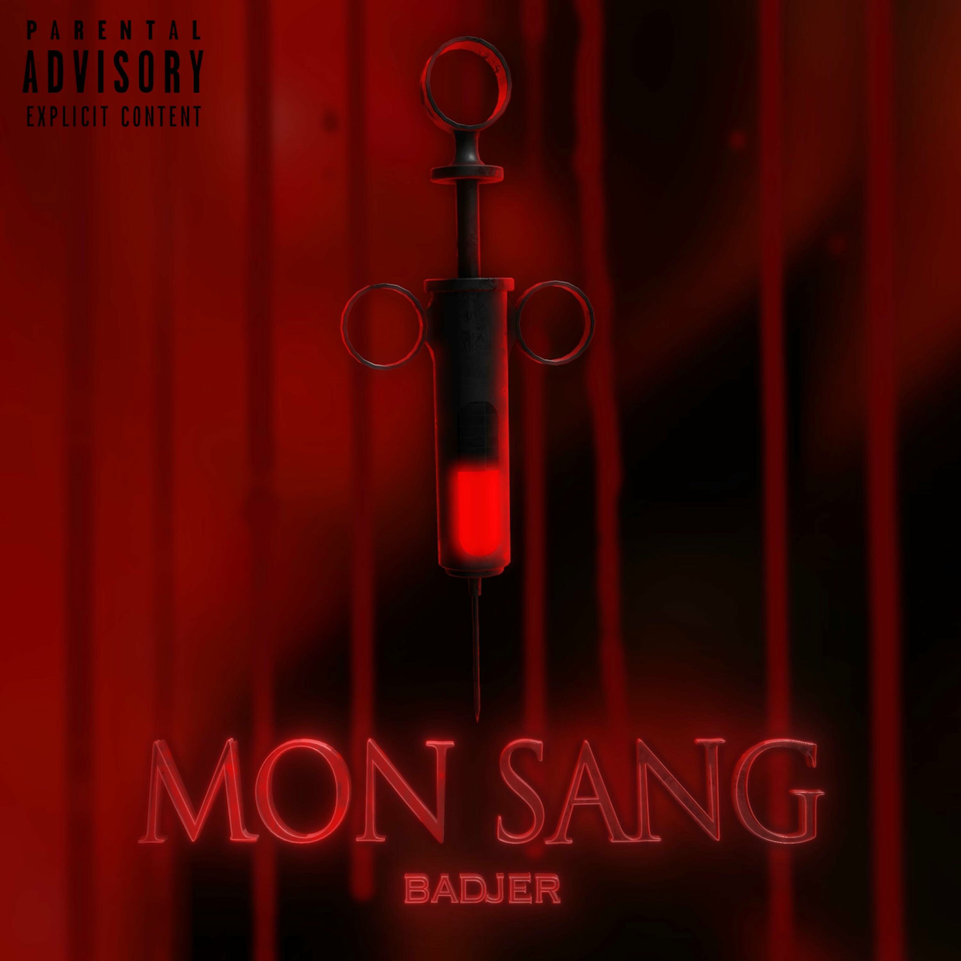 Album cover of Mon sang