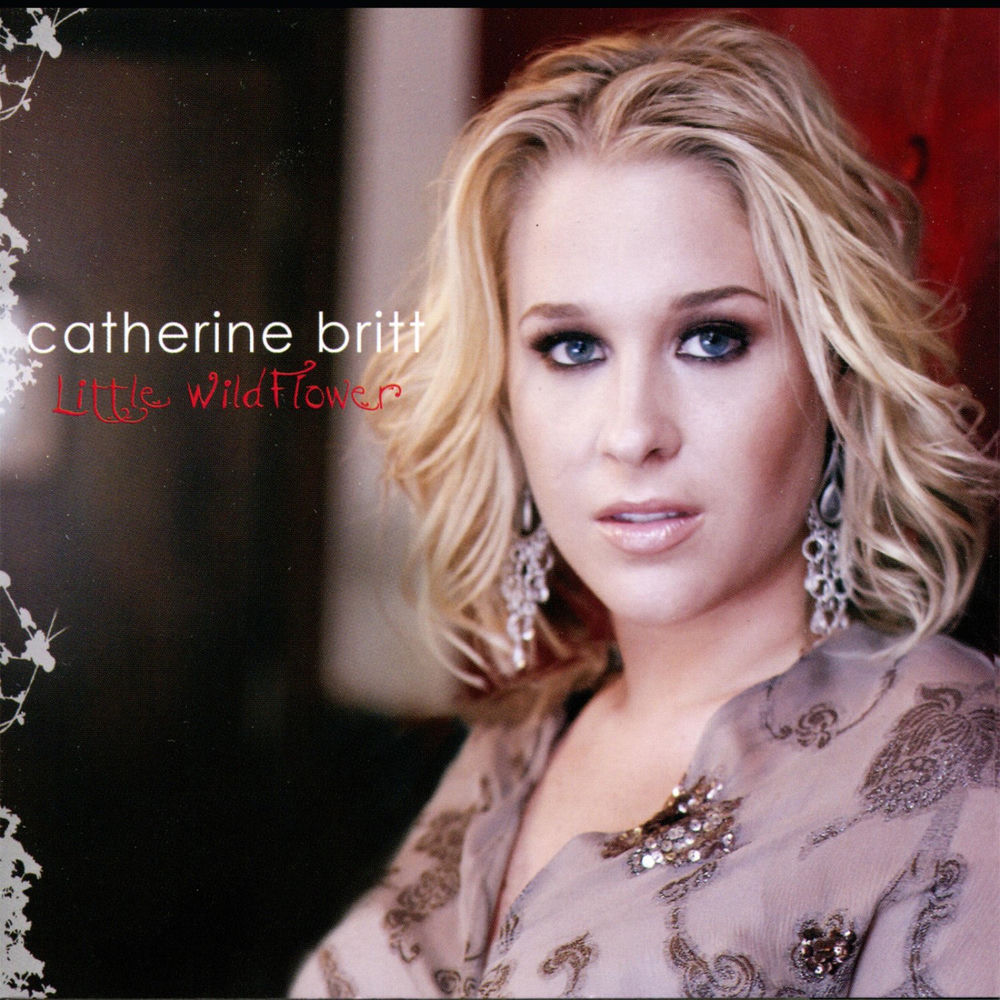 Album artwork for Bruised by Catherine Britt