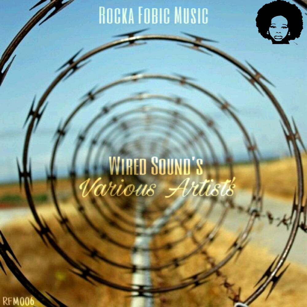 Picture of Wired Sound's