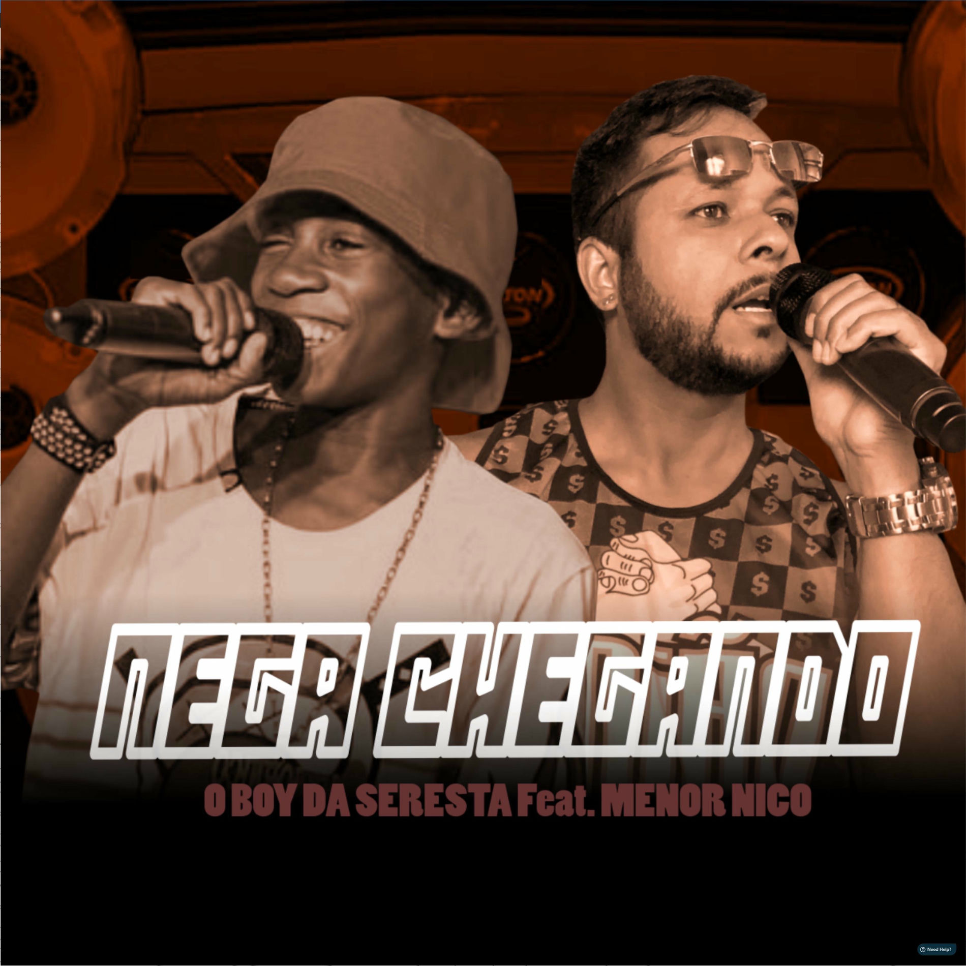 Album cover of Nega Chegando