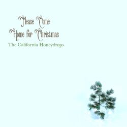 Cover of Please Come Home for Christmas