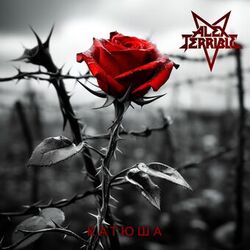 music cover