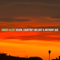 Cover of Amber Alert