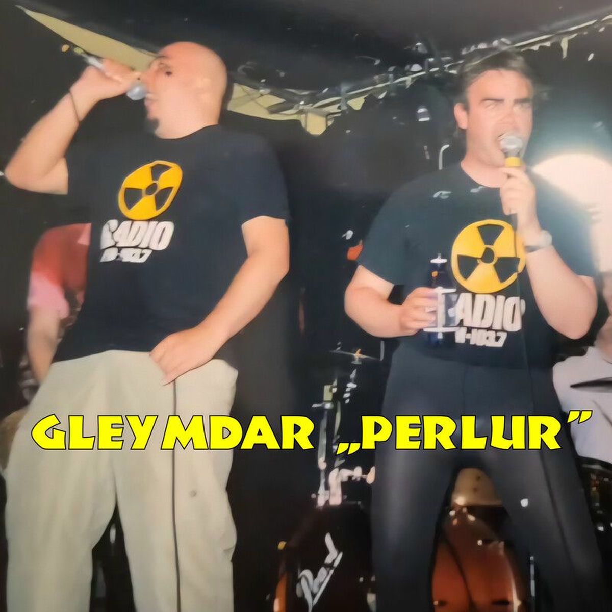Album cover of Gleymdar 