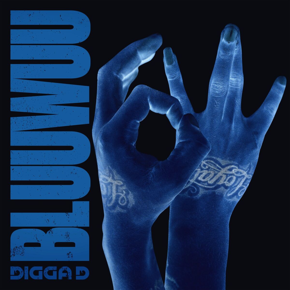 Album cover of Bluuwuu