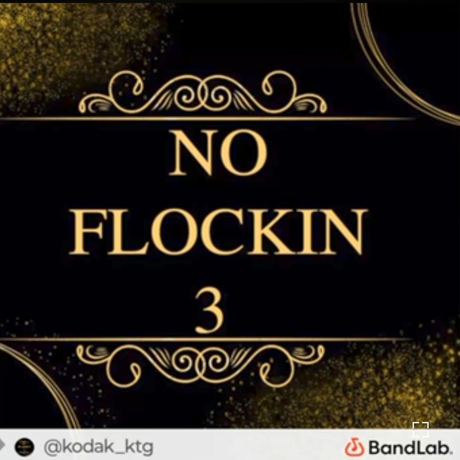 Album cover of NO FLOCKIN 3