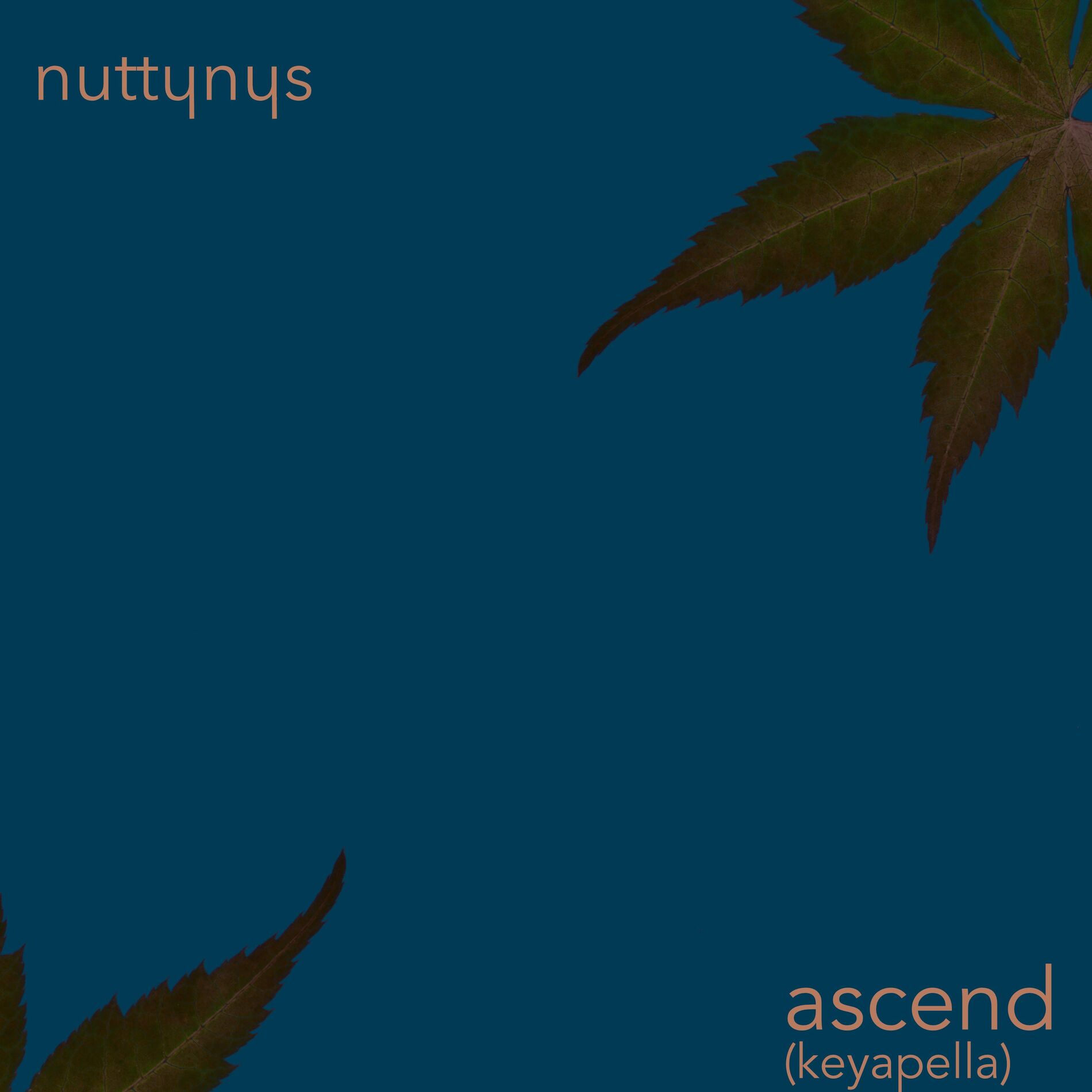 Album cover of Ascend (Keyapella)