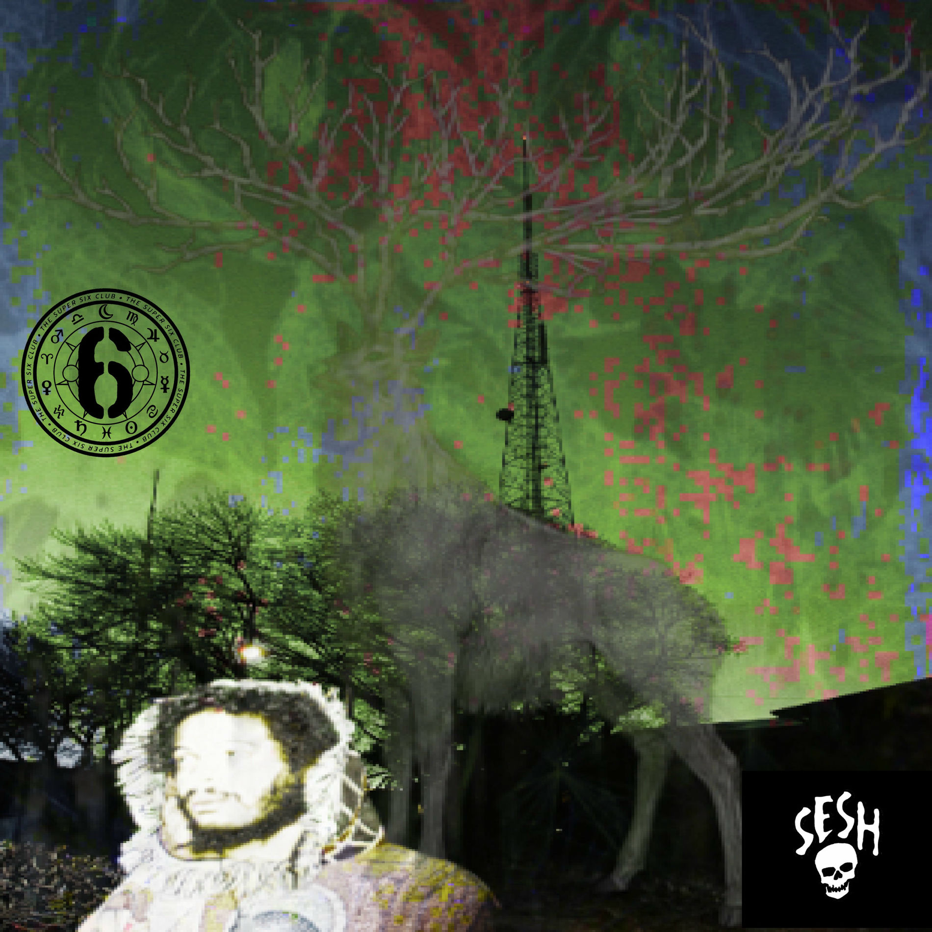 Album cover of Decaying Deer In The Astral