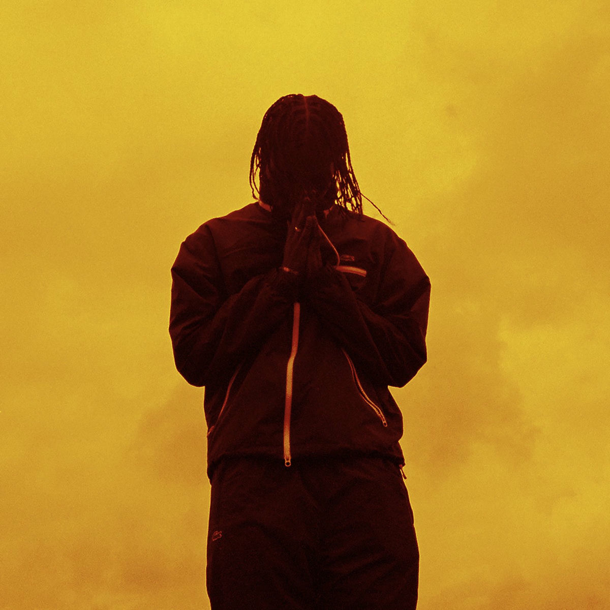 Album cover of PENSE-BÊTE