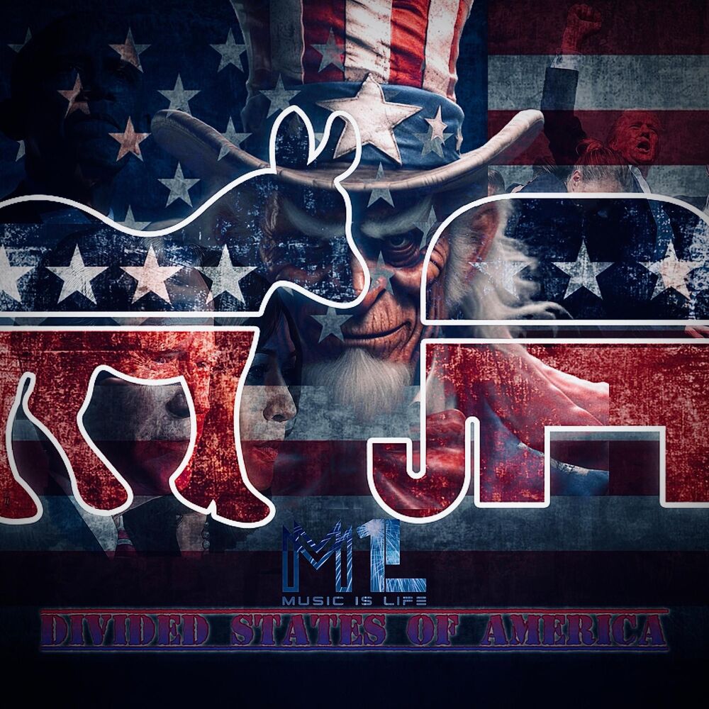 Picture of Divided States Of America