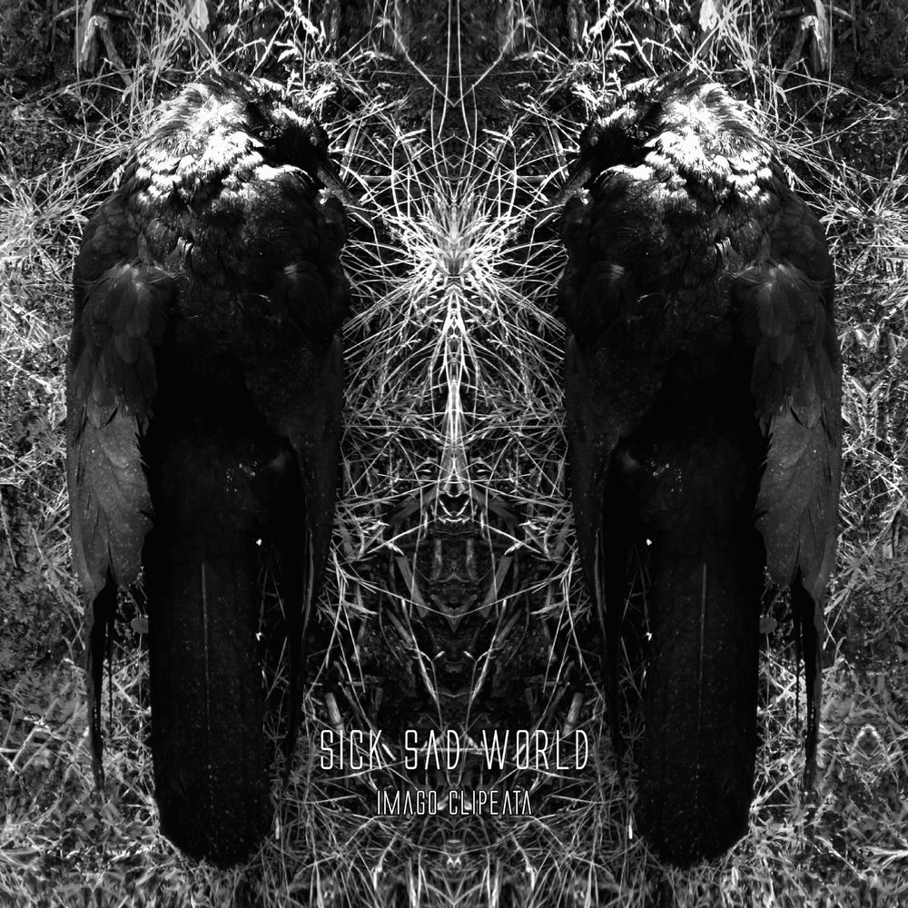 Album artwork for Destroy by Sick Sad World