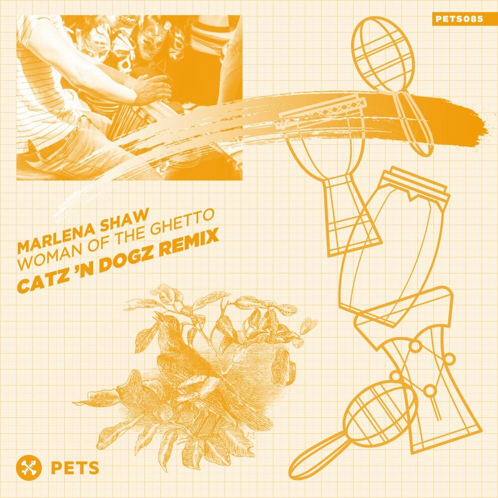 Picture of Woman of the Ghetto (Catz 'n Dogz Remix)