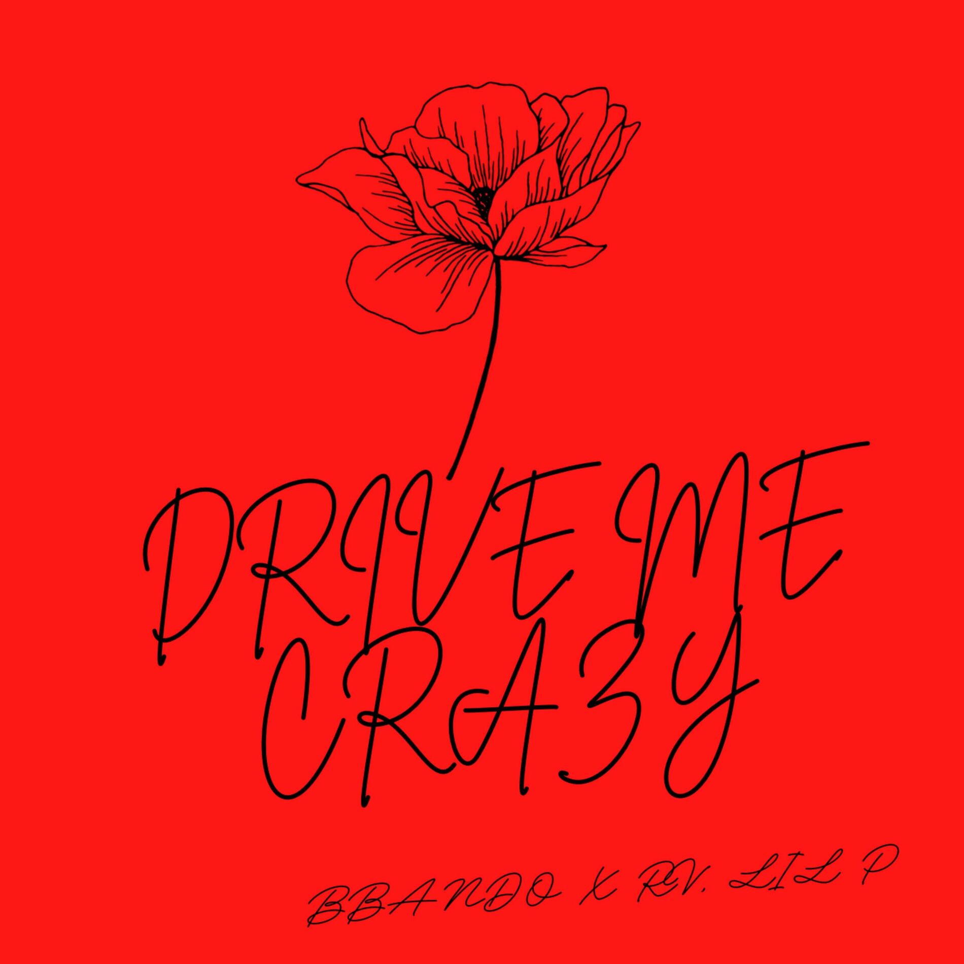 Album cover of DRIVE ME CRAZY (feat. RV & LIL P)