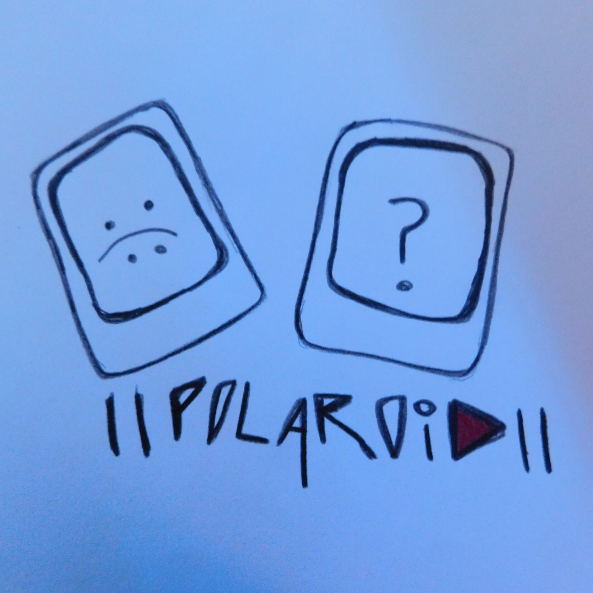 Album cover of polaroid