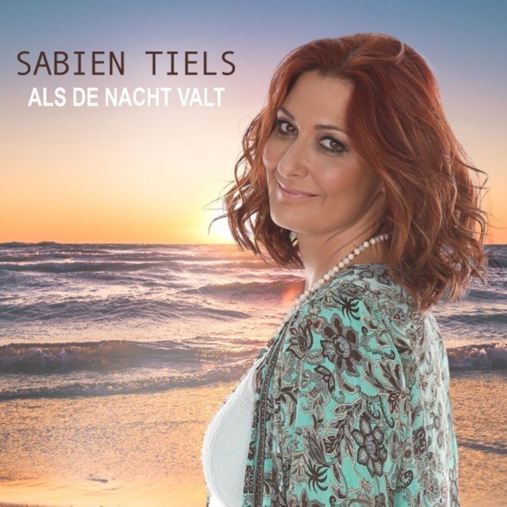 Picture of Als de nacht valt