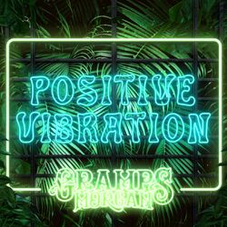 Cover of Positive Vibration