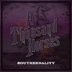 Cover of Southernality