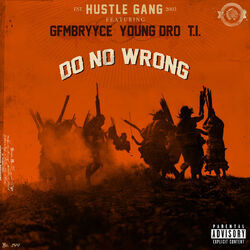 Cover of Do No Wrong