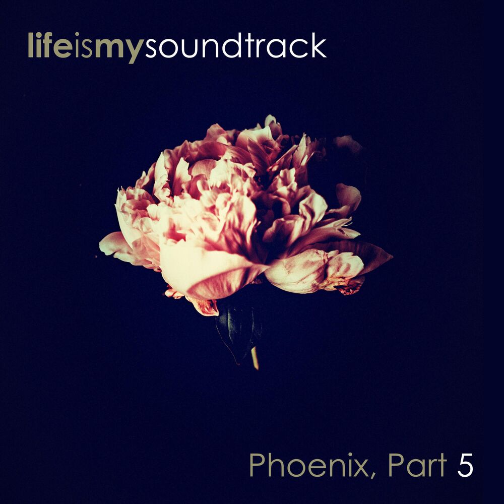 Picture of Phoenix, Pt. 5