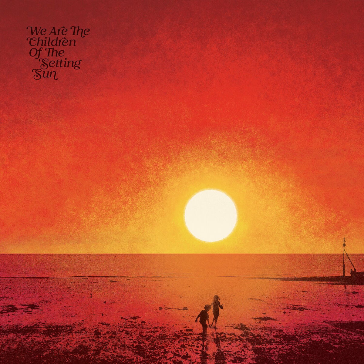 Album cover of The Shadows Dance