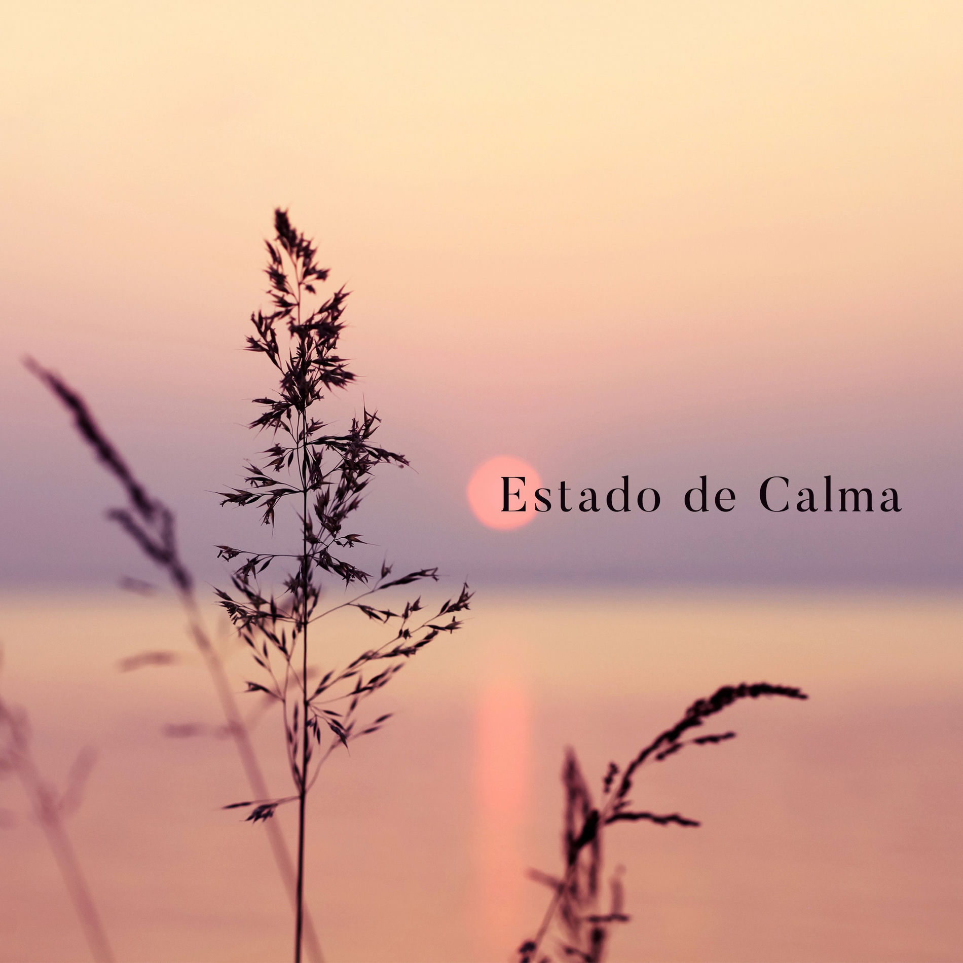 Album cover of Estado de Calma: 15 Mejores Canciones Calmantes en 2020, Vibraciones de Relajación Total