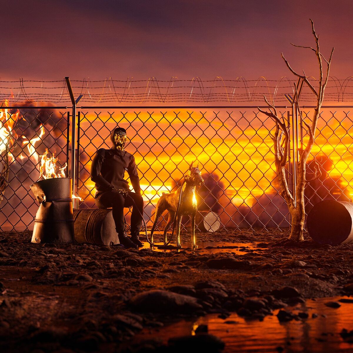Album cover of I'm Not