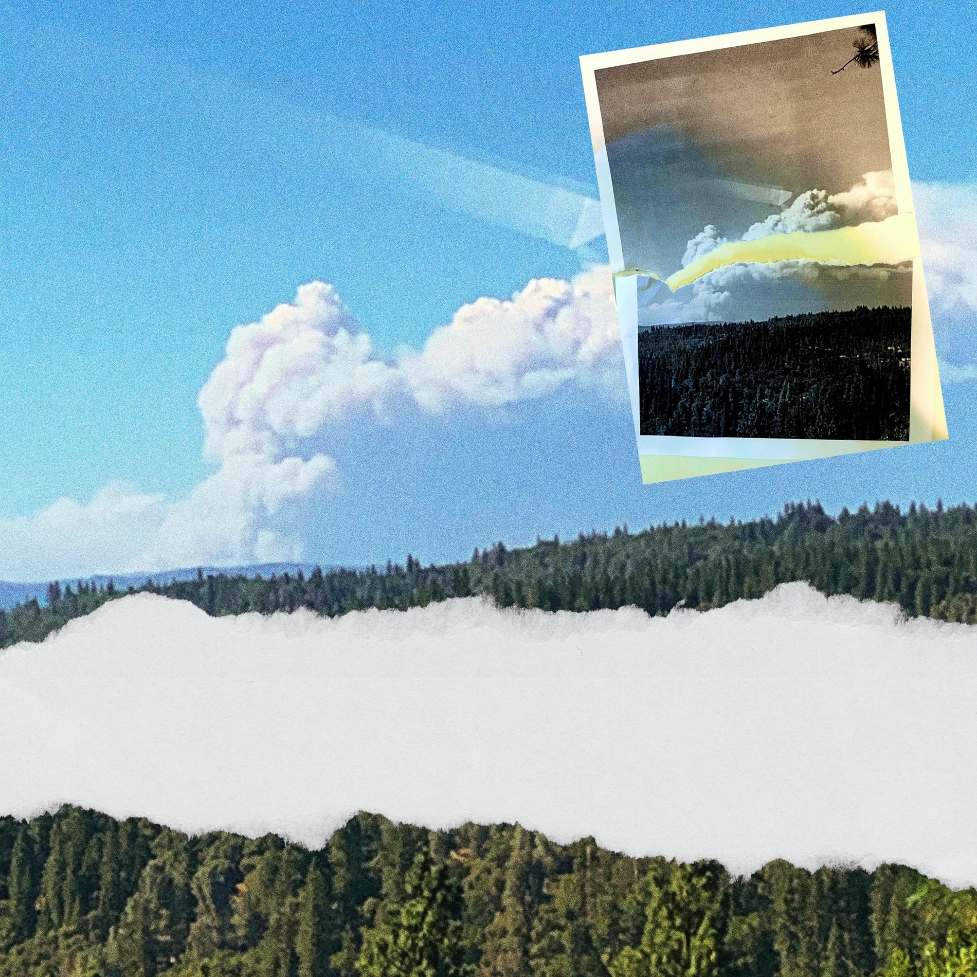 Album cover of California's On Fire Again