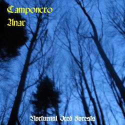 Cover of Nocturnal Iced Forests