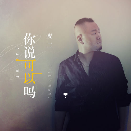 你说可以吗 (DJ默涵版)