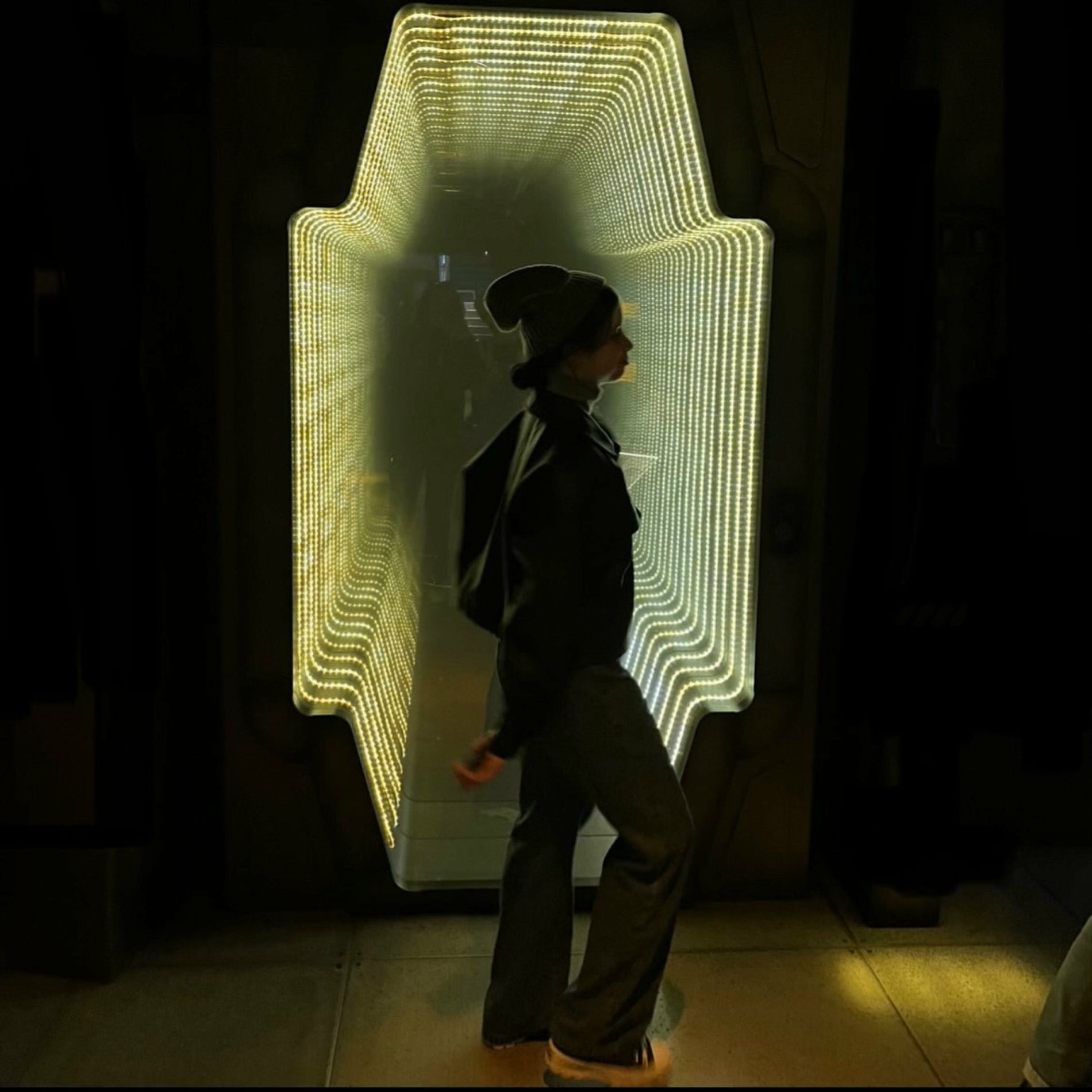 Album cover of The Unknown