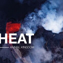 Cover of Heat EP