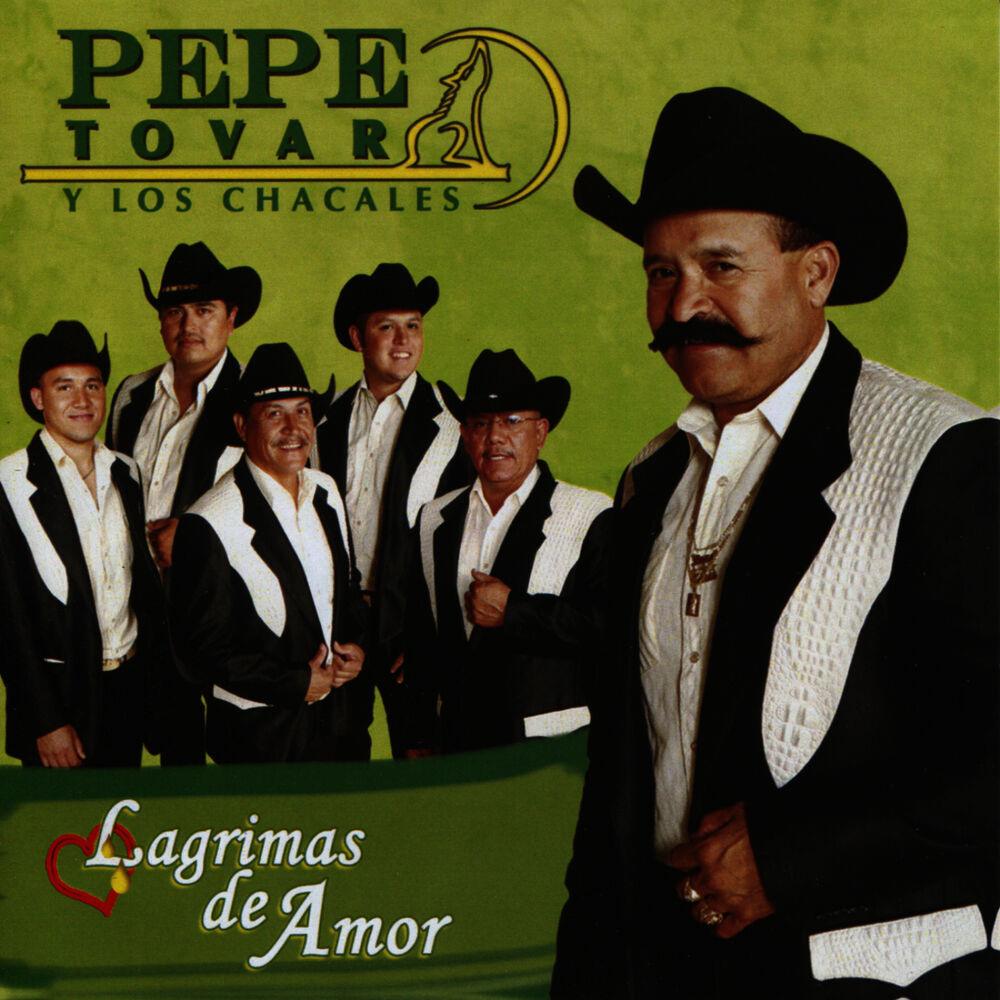 Picture of Lagrimas De Amor