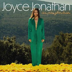 Cover of Les p'tites jolies choses