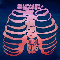 Cover of Bruised Lung
